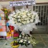 Hoa Viếng 17