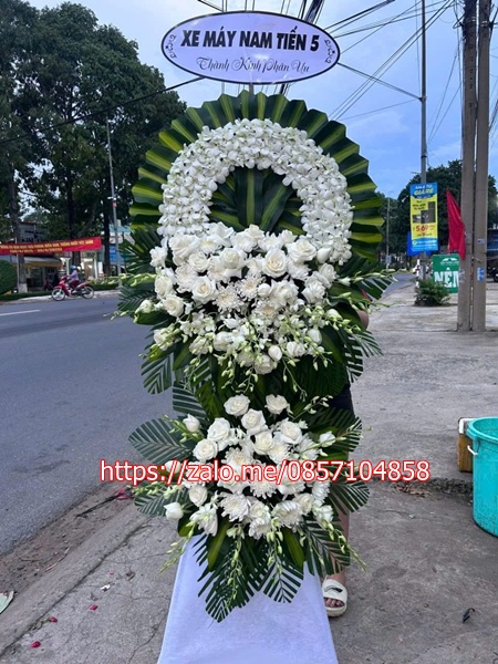 gen-h-z6659068226114_c089cca9ad02cad8f273d04592dc2481