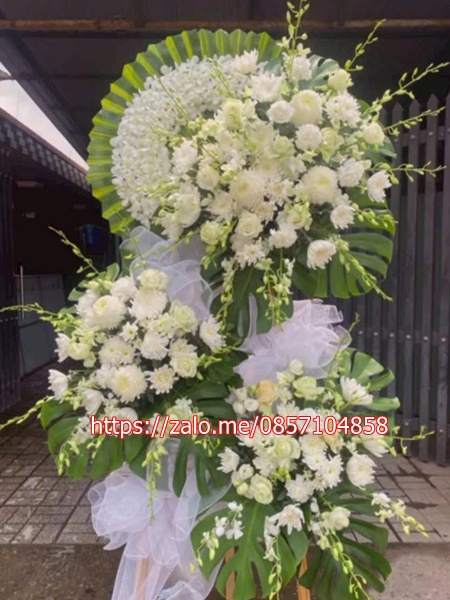 gen-h-z6704167394488_c3a1c634e324ad9341dae5044e84fe2c