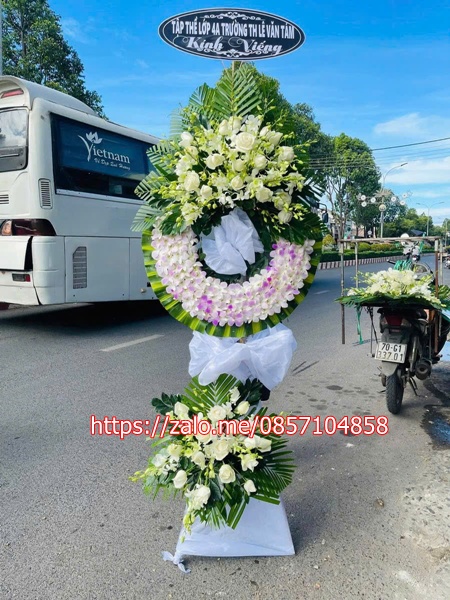 gen-h-z6704170659182_0ba772d067538d2449fedc920abbc40e
