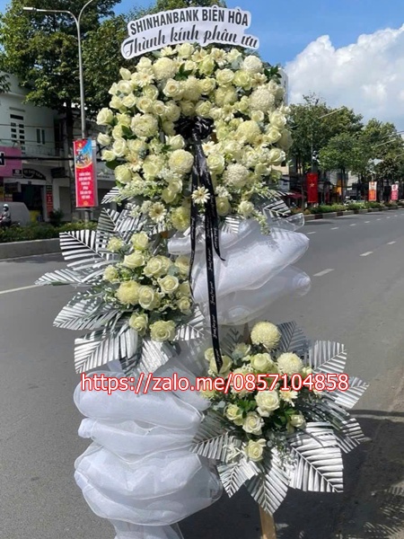 gen-n-z6659067814041_ddb6e3fb6381ef348b0682553bd44d2a