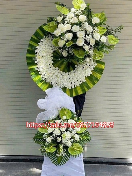 gen-n-z6659067855288_0a8aeeef57bc8018e5be3a3358da4b0e