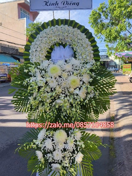 gen-n-z6659068220189_652402118f997f602f510ebfe7172443