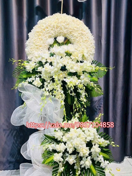 gen-n-z6659068263078_577a0af326efada4f7cb22438842339e